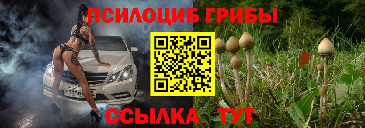 Галлюциногенные грибы прущие грибы  Вход с VPN  Краснотурьинск 